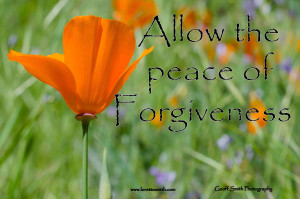 Allow peace of forgiveness