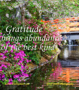 gratitude brings abundance2