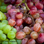 grapes2